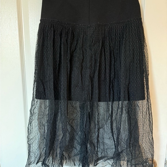 Dresses & Skirts - Elegant Black Mesh Overlay Skirt